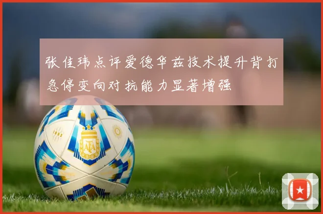 张佳玮点评爱德华兹技术提升背打急停变向对抗能力显著增强
